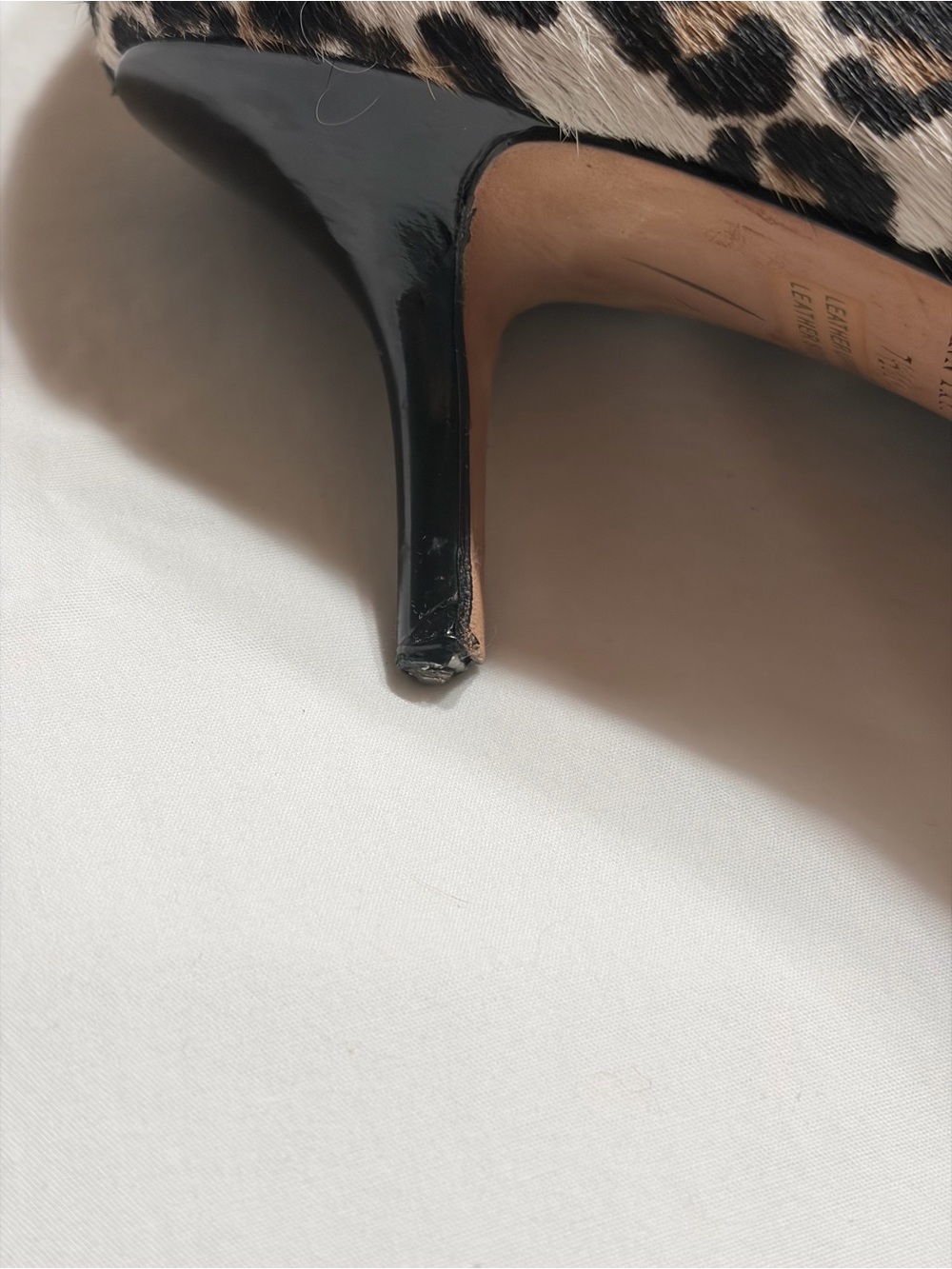 Ann Taylor Leopard-Print Pointed Toe Flats - Black, Brown, Cream - Picture 11 of 15